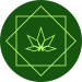 Cannabis